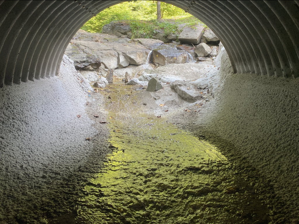 A culvert relined with shotcrete.
